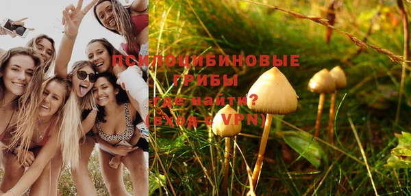 амфетамин Алексеевка