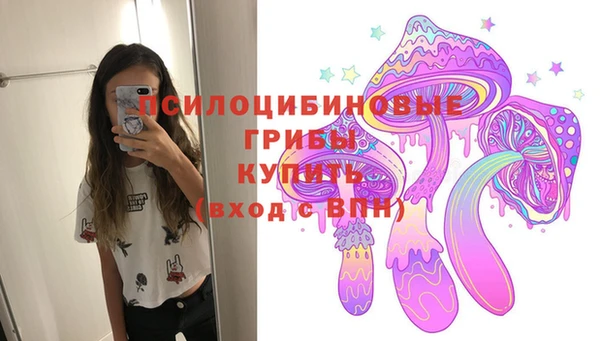 a pvp Алексин
